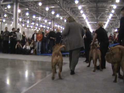 Aker ex Cubile Lamia Majama.MPG