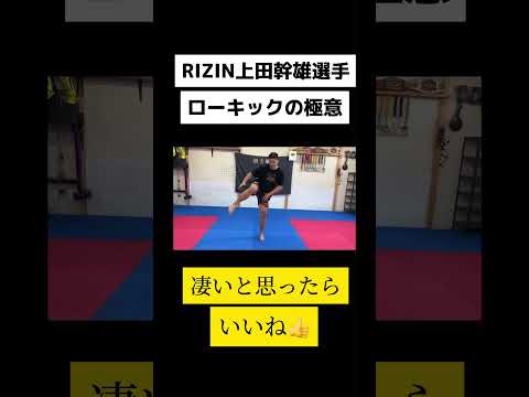 【下段蹴りの極意】極真世界王者のローキックの蹴り方はこれだ！#極真空手 #ローキック #rizin #上田幹雄