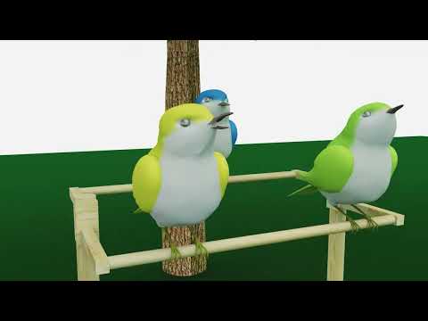 【大手前大学】コンサート 亀江武