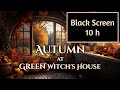 10 h BLACK SCREEN Autumn at Green Witch's House Ambience and Music | fantasy cozy fall #witchcore