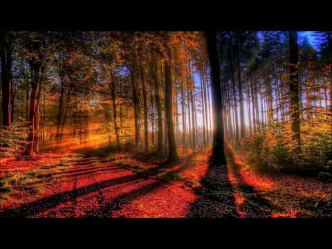 Rauchpause [Progressive Psytrance/Full-On Mix]ᴴᴰ March 2018