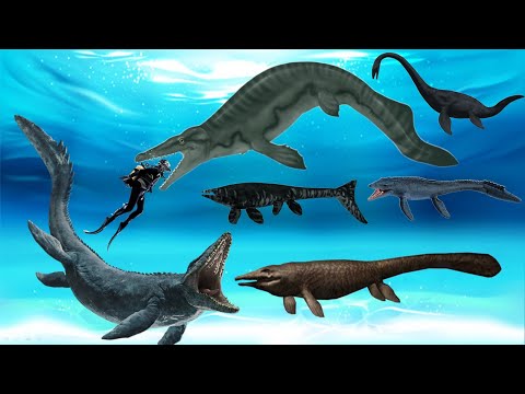 I 20 mosasauri più grandi che un tempo dominavano il mondo