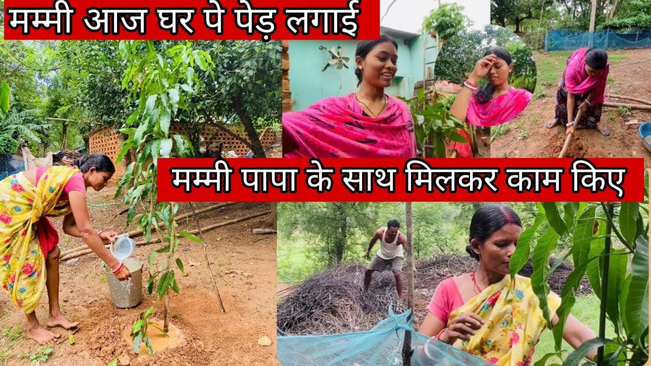 मम्मी आज घर पे पेड़ लगाई || मम्मी पापा के साथ मिलकर काम किए ||