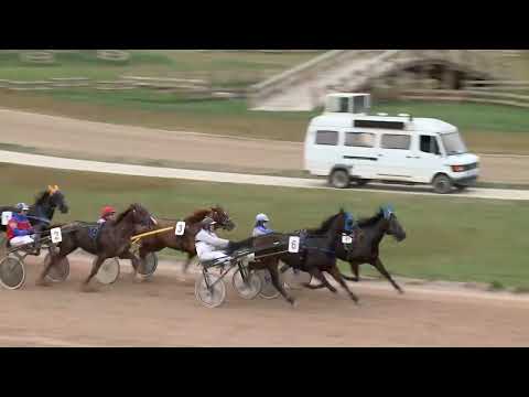 2022.11.12. 15. futam - ZOMBORI HENDIKEP