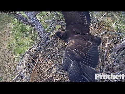 2017/03/05  08h13m SWFL E9 is strong and ready to fly