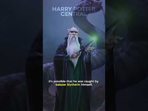 Did You Know This About Merlin In HARRY POTTER…