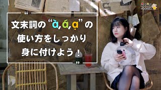 文末詞の「à, á, ạ」の使い方をしっかり身に付けよう❣ || らくらくベトナム語