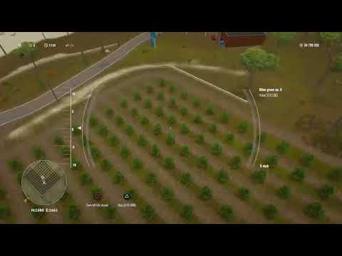 Pure farming Harvesting Olives & Grapes