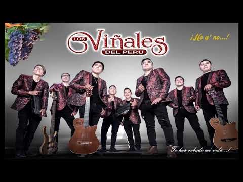 LOS VIÑALES DEL PERÚ JyD EXCLUSIVO™ ME ESTÁ SACANDO LA VUELTA Oficial✓✓✓2019✓✓✓ VIVO