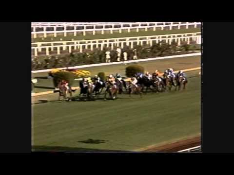 1986 ARC Air New Zealand Stakes _ Bonecrusher ( NZ )