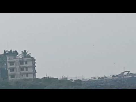 Cricket at the #Beach 