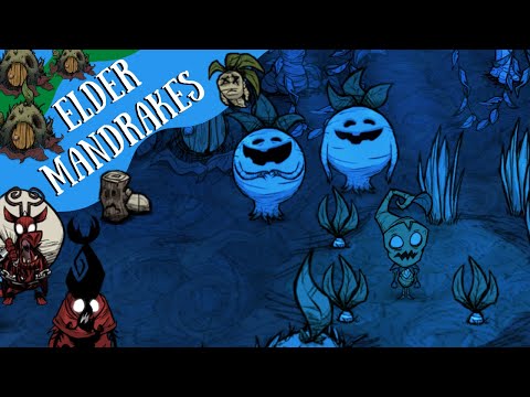 Don't Starve Hamlet Guide: Elder Mandrakes