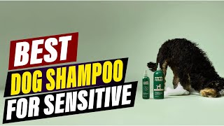 Stop the Scratch! 🐾 Best Dog Shampoo for Sensitive Skin (202