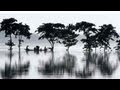 Effects Of Monsoon Season On India Dispatch