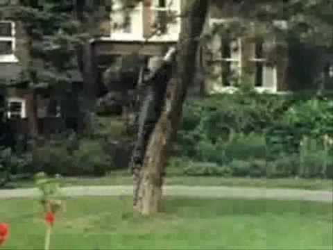 The Goodies - Kitten Kong - Never miss a beat