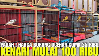 Download lagu REVIEW KENARI MURAH ! READY LOPER, AF, F1YS, F1 RASMI CUMA MULAI 100RB... BURUNG OCEHAN MULAI 25RB ! mp3 Download lagu REVIEW KENARI MURAH ! READY LOPER, AF, F1YS, F1 RASMI CUMA MULAI 100RB... BURUNG OCEHAN MULAI 25RB ! mp3