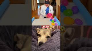 Download lagu Catch it 🤣#youtube #comedymove #shortsfeed#viral #youtubefeatures #channelpages#viralshort % #duet mp3 Download lagu Catch it 🤣#youtube #comedymove #shortsfeed#viral #youtubefeatures #channelpages#viralshort % #duet mp3