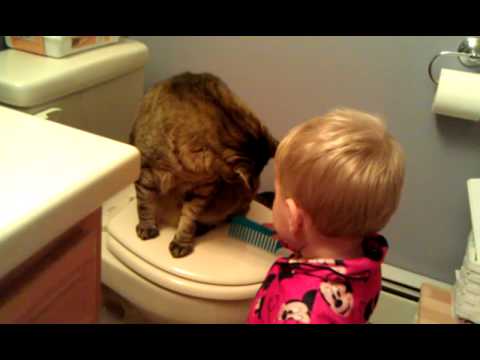 Brady getting Prince ready for the day