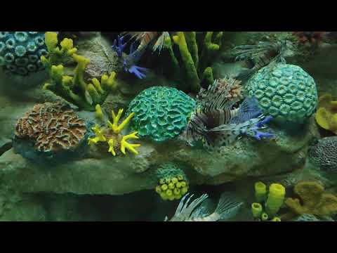 Saiyaara Title Song | Ahaan Panday, Aneet Padda | Tanishk Bagchi, Faheem A, Arslan N | Irshad Kamil