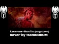 TURBODROM - Mein Teil (на русском TURBODROM cover ...