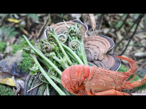 Pikopiko & Puha Toroi & Crayfish! BUSH FOOD GATHER &  Free Mussels Cook Up!