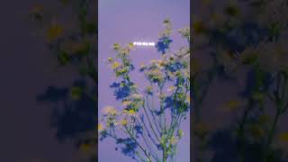Download lagu lagu India bagus banget jadi viral #shorts mp3 Download lagu lagu India bagus banget jadi viral #shorts mp3