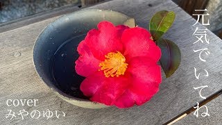 【アカペラ】元気でいてね -奥華子｜みやのゆいvocal