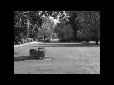 OstrichO - Spaziergang