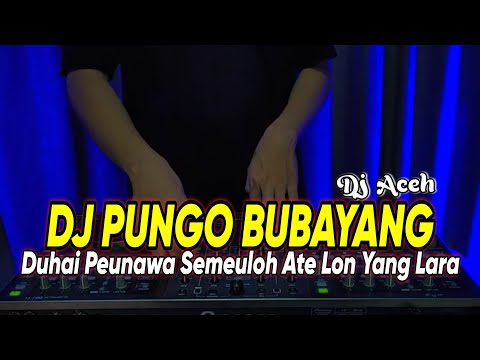 DJ PUNGO BUBAYANG REMIX MUSEM KA MEUTUKA OEN KAYE MEUGANTO VIRAL TIKTOK TERBARU 2023