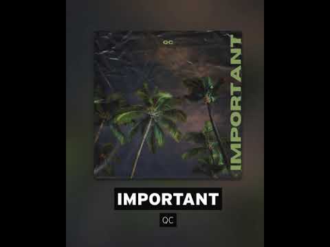 IMPORTANT - QC (AUDIO)
