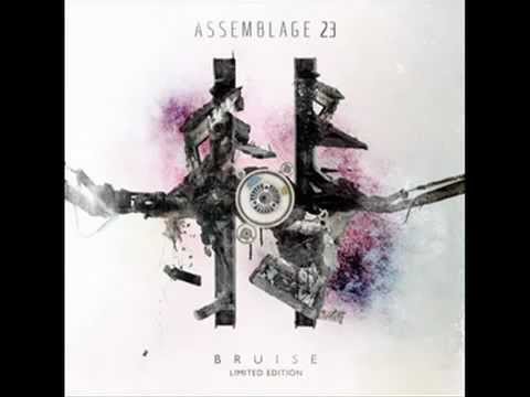 Assemblage 23 - The Noise Inside My Head.