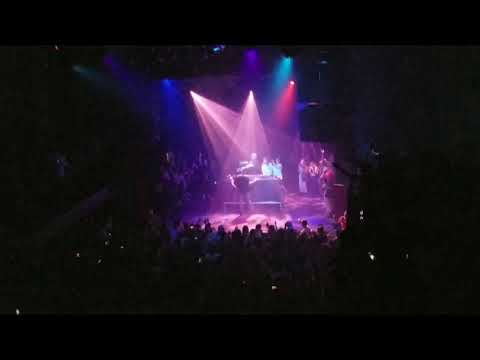 does a bear shizz in the woods