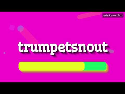TRUMPETSNOUT - How to pronounce Trumpetsnout?