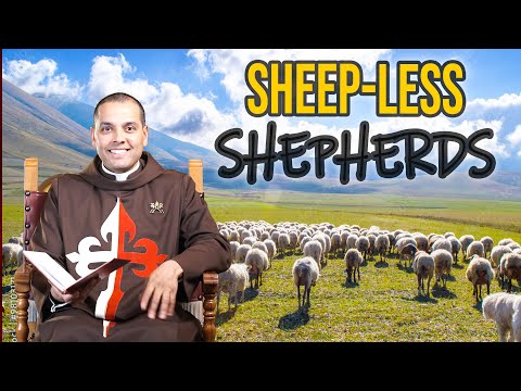 SHEEP-less SHEPHERDS | Daily Gospel Meditation | Fr. Joshua | Dec. 3rd, 2022