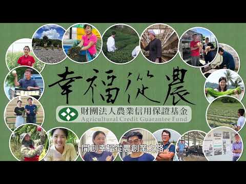 玉沙農場黃色蘭花