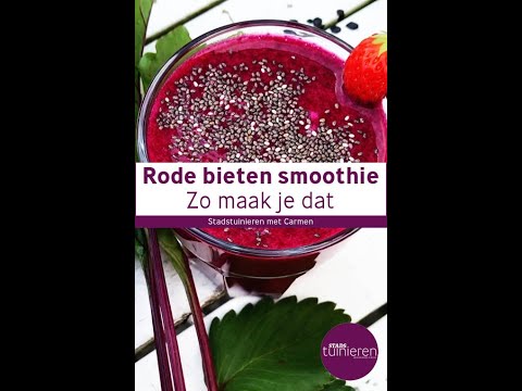 , title : 'Stadstuinieren - Rode bieten oogsten + recept Rode bieten smoothie #moestuin #oogst'