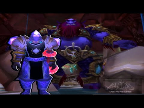Прот паладин Мейн Танк Морогрим | Prot Paladin MT Morogrim Tidewalker WoW Burning Crusade Classic