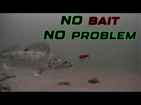 Bait-less Fishing SAVE Money! Catch Fish Easily! ANYONE Can Do This