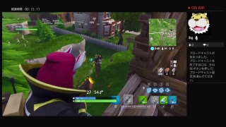 フォートナイトps４　直差し　勝数250↑