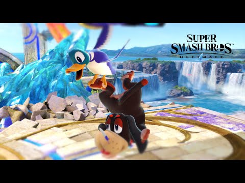 World's Most Hype Duck Hunt