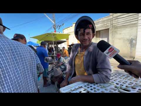Feira do Rolo em olho d’Água das Flores - AL 13 - 07 - 2026 #nordeste 
