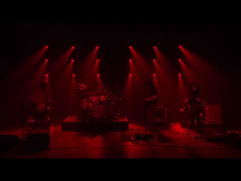 Pigeons Playing Ping Pong - "Water" 3/21/20 Live From Our Secret Hideout