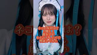 過去最速が出ましたw #推しは推せる時に推せ #推し推せ #コンカフェ #ミナミコンカフェ #アイドル #メイド