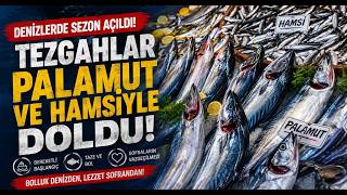  Denizlerde Sezon Açıldı, Tezgahlar Palamut ve Hamsiyle Doldu