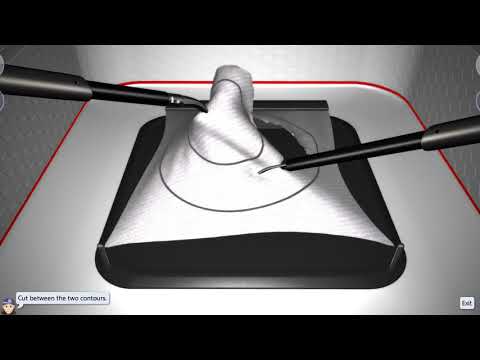 LapSim Pattern Cutting