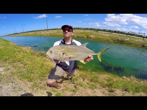 Fishing Canals for Jack Crevalle Tips