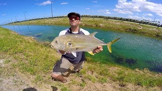 Ultra Clear DITCH Fishing In MIAMI! MASSIVE Canal Jack Crevalle