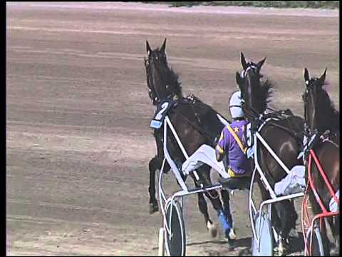 Trotto 04/06/2015 - 4° corsa