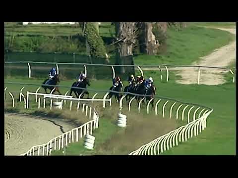 Napoli Galoppo 23/01/2022 - 2ª corsa