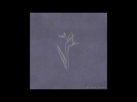 Joel Ansett - This Could Be (Official Audio & Artwork)